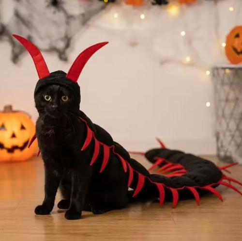 Centipede Cat Costume